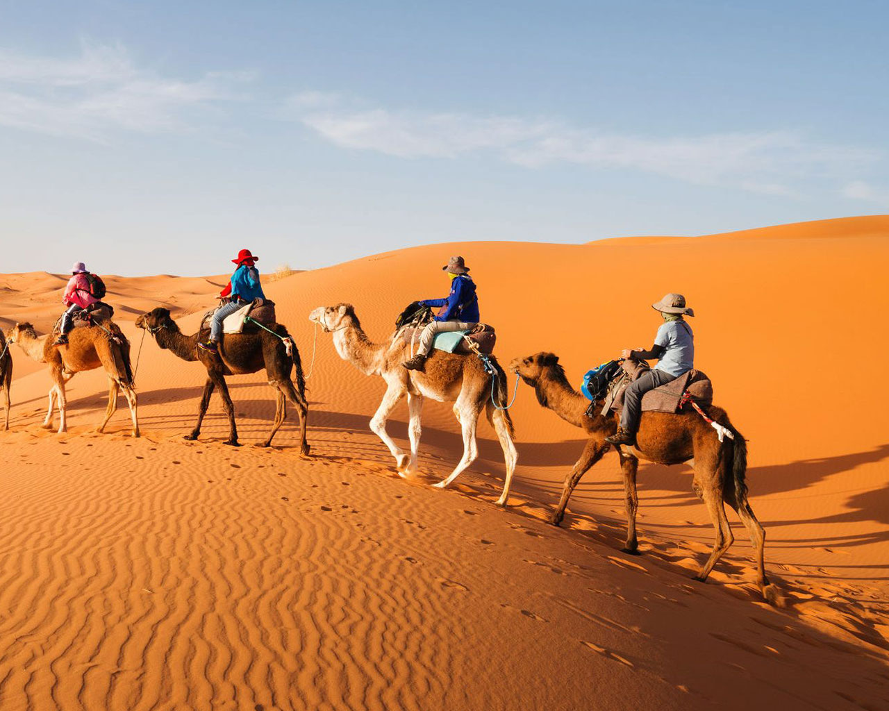 PASEO EN CAMELLOS EN EL DESIERTO