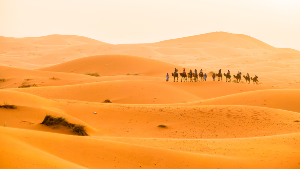 BEST 3 DAYS TOUR FROM FES TO MERZOUGA