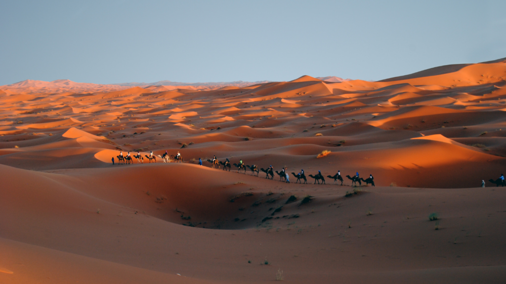 BEST 8 DAYS TOUR FROM CASABLANCA TO MERZOUGA