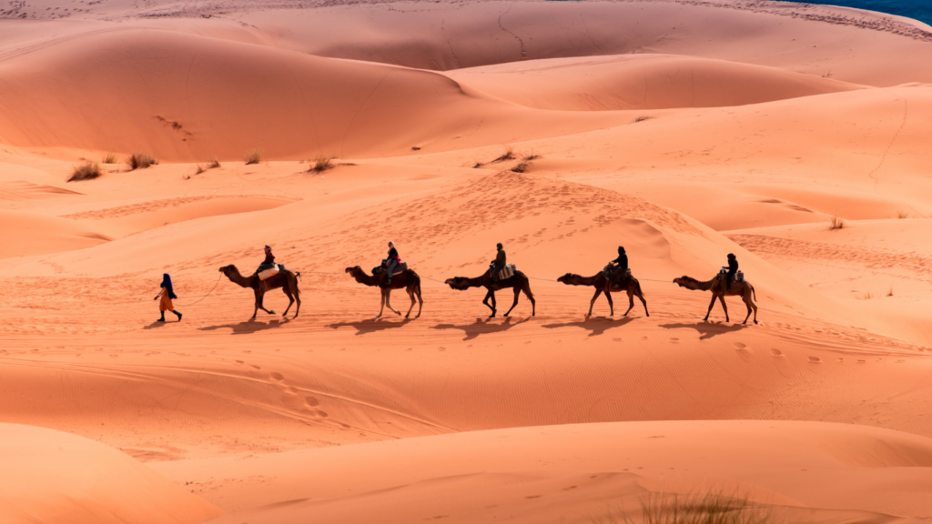 BEST 7 DAYS TOUR FROM CASABLANCA TO MERZOUGA