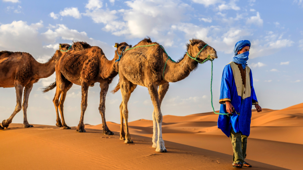 BEST merzouga camel trek AGENCY